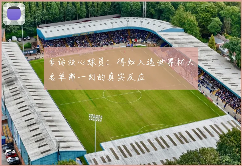 专访核心球员：得知入选世界杯大名单那一刻的真实反应
