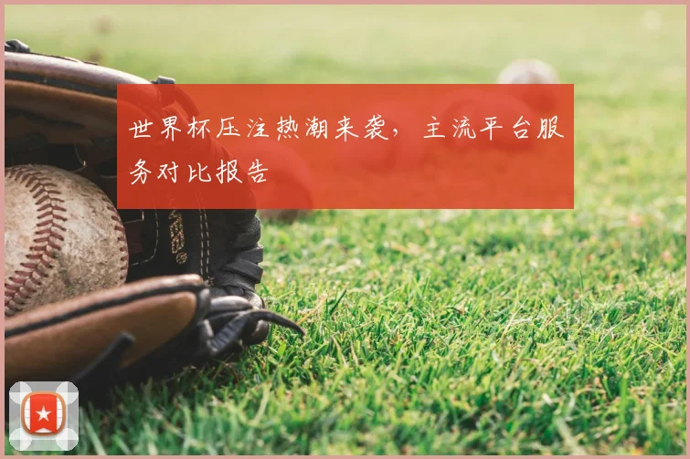 世界杯压注热潮来袭，主流平台服务对比报告