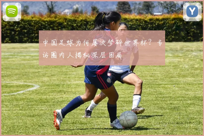 中国足球为何屡次梦碎世界杯？专访圈内人揭秘深层困局