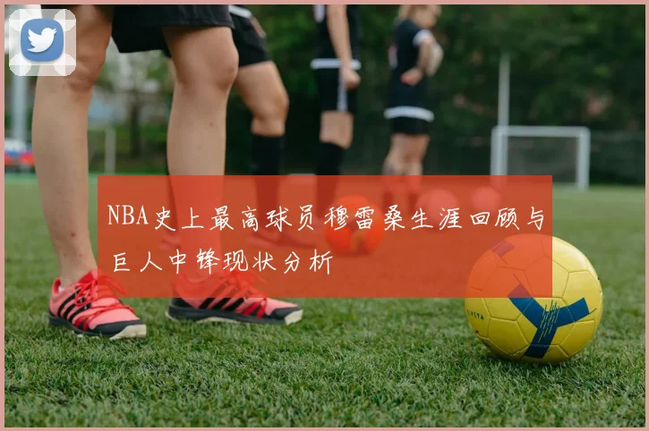 NBA史上最高球员穆雷桑生涯回顾与巨人中锋现状分析