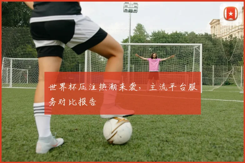 世界杯压注热潮来袭，主流平台服务对比报告