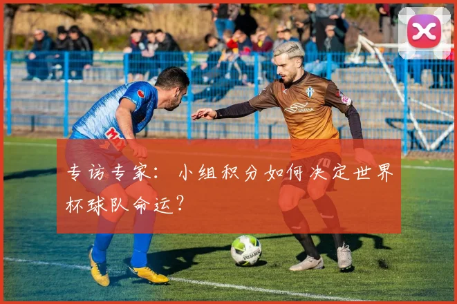 专访专家：小组积分如何决定世界杯球队命运？