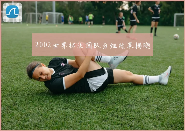 2002世界杯法国队分组结果揭晓