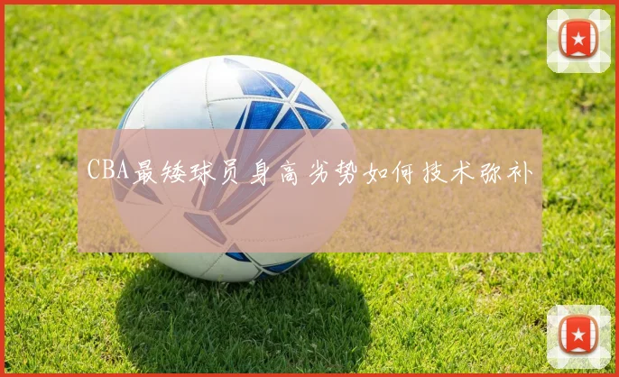 CBA最矮球员身高劣势如何技术弥补
