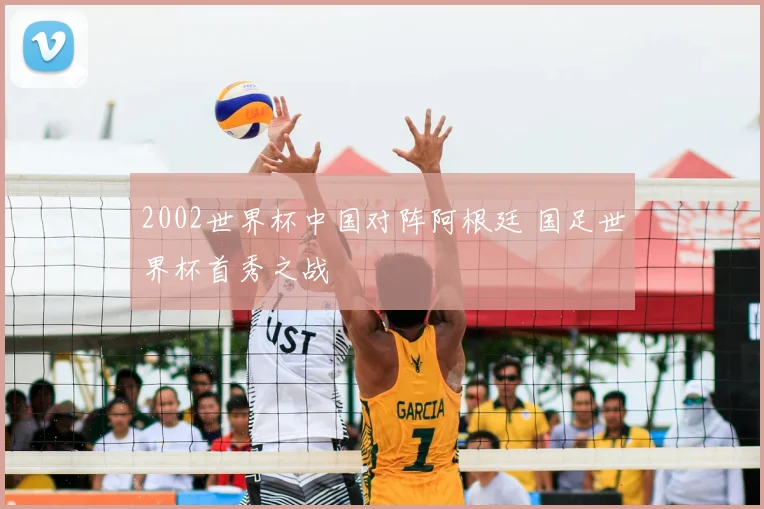2002世界杯中国对阵阿根廷 国足世界杯首秀之战