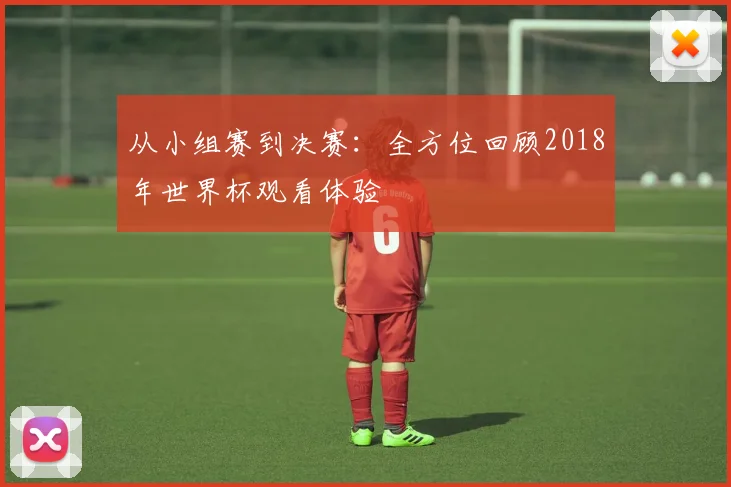 从小组赛到决赛：全方位回顾2018年世界杯观看体验