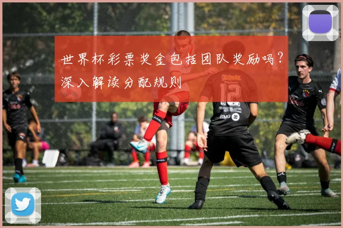 世界杯彩票奖金包括团队奖励吗？深入解读分配规则