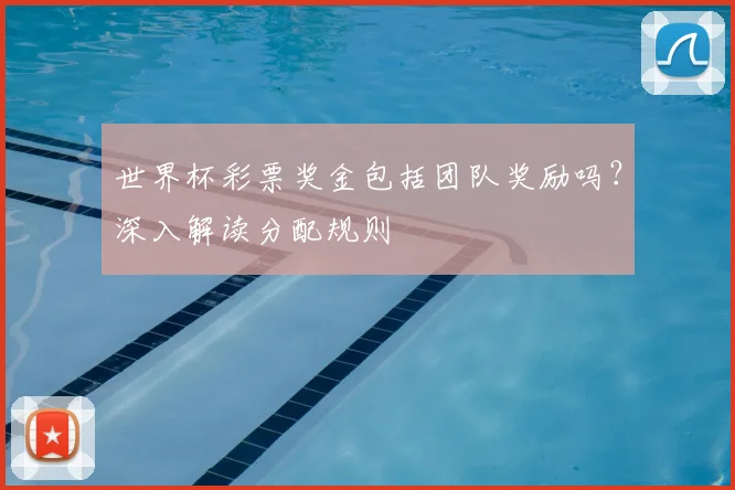 世界杯彩票奖金包括团队奖励吗？深入解读分配规则
