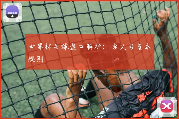 世界杯足球盘口解析：含义与基本规则