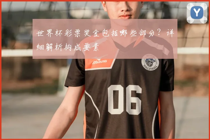 世界杯彩票奖金包括哪些部分？详细解析构成要素