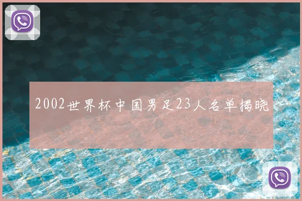 2002世界杯中国男足23人名单揭晓