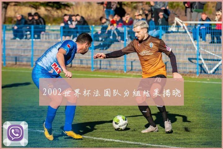 2002世界杯法国队分组结果揭晓
