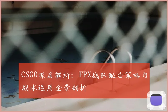 CSGO深度解析：FPX战队配合策略与战术运用全景剖析