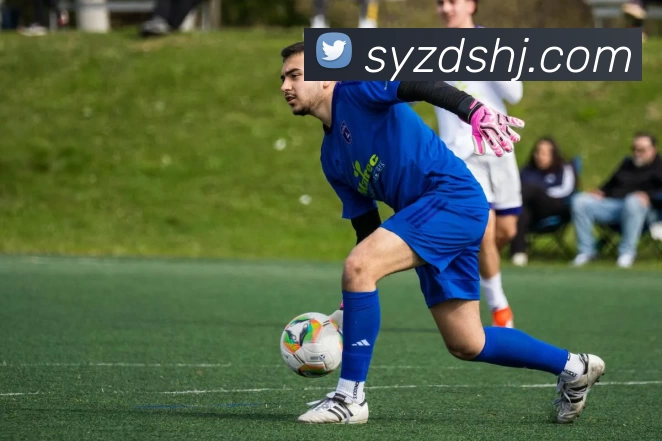 开云体育服务体系